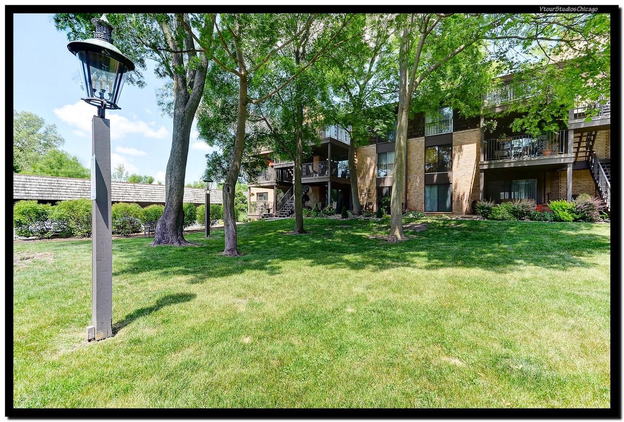 438 Lageschulte St. #1, Barrington, IL 60010