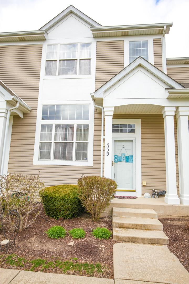 539 Silver Leaf Dr., Joliet, IL 60431