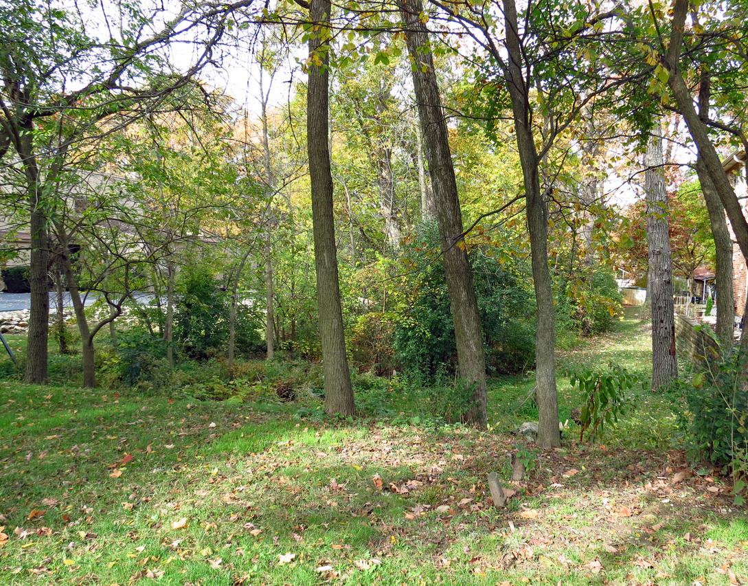 1118 Prospect Ave., Willow Springs, IL 60480