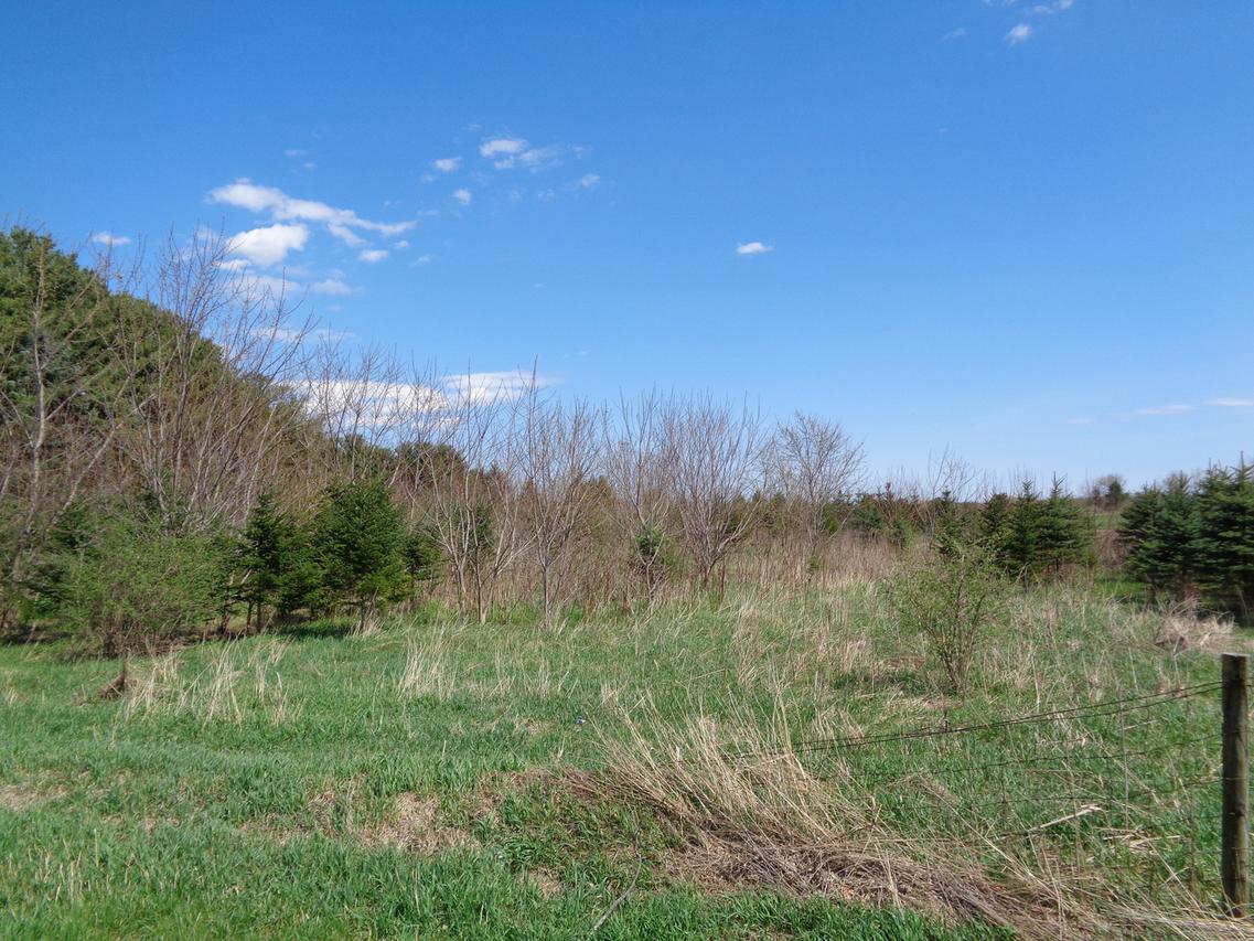 3406 Raycraft Rd., Woodstock, IL 60098