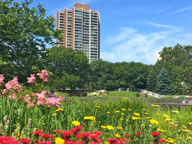 1850 N Clark St. #2508, Chicago, IL 60614