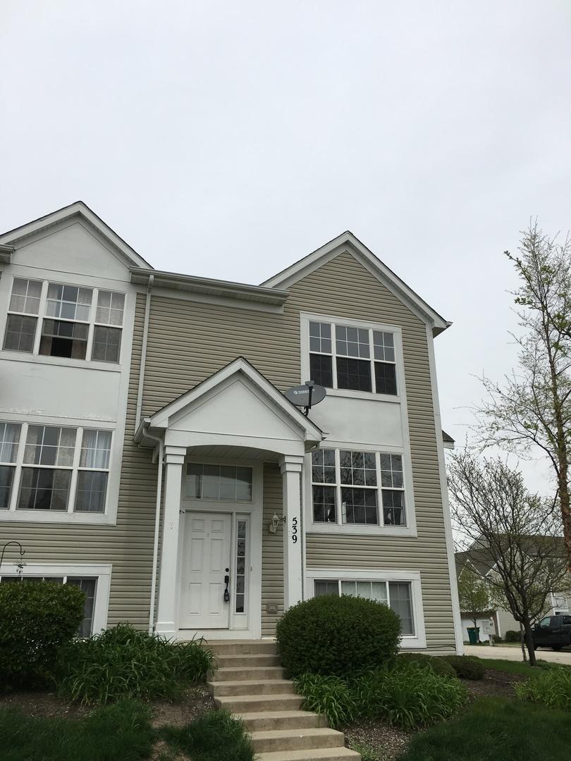 539 Meadow Lily Dr., Joliet, IL 60431