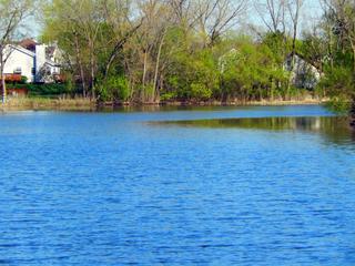 2450 Brunswick Cir. #A, Woodridge, IL 60517