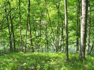 1782 Blueberry Dr., Varna, IL 61375
