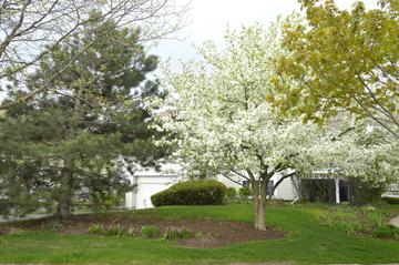 1730 Geneva Dr., Wheeling, IL 60090