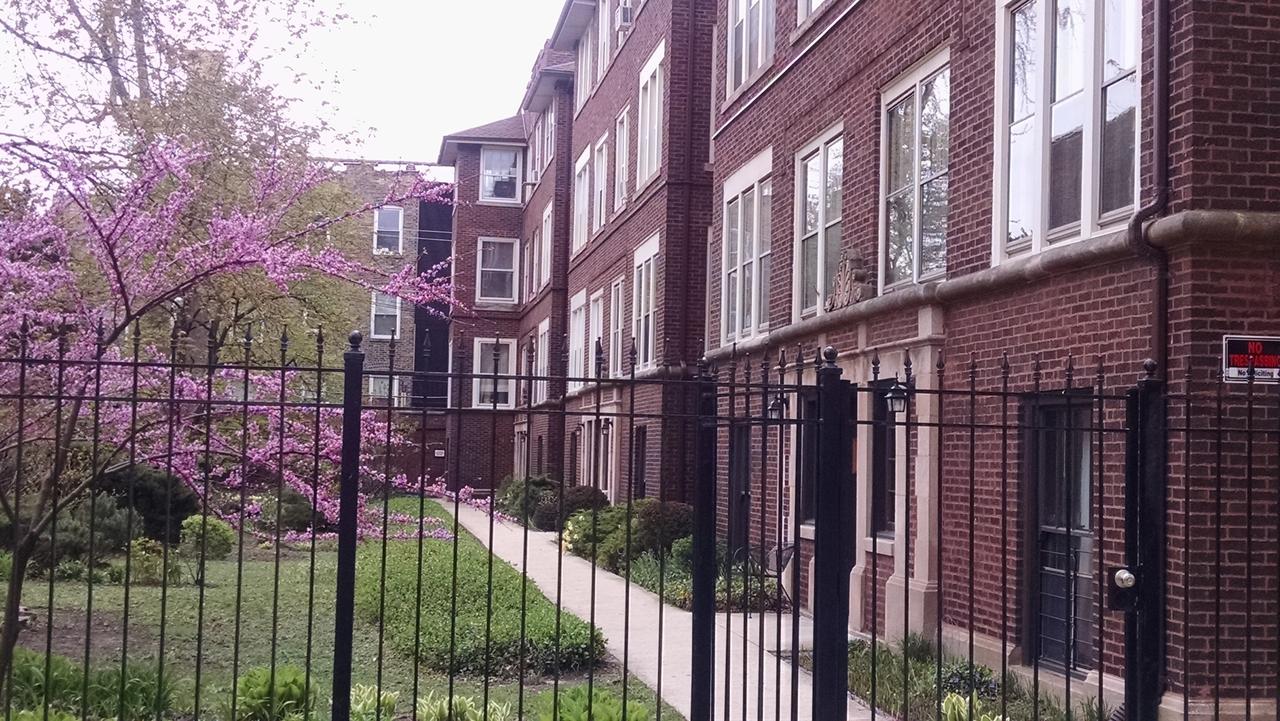 1415 W Greenleaf Ave. #3N, Chicago, IL 60626