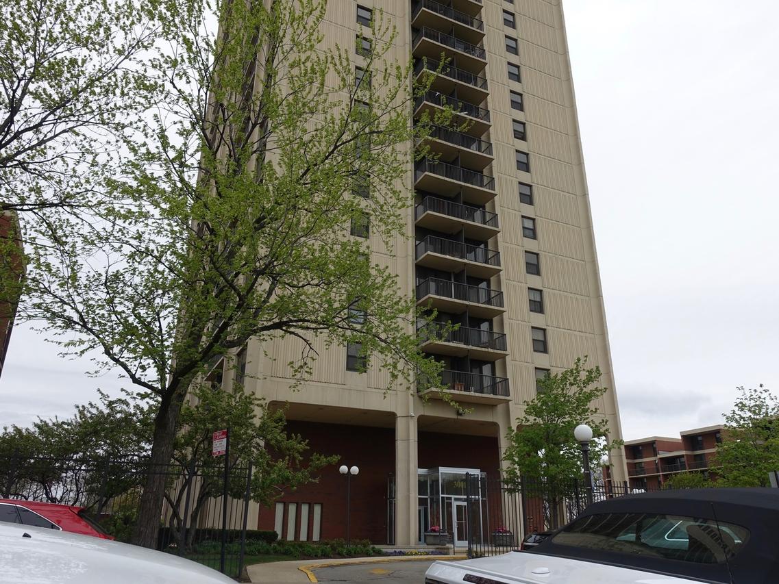 3001 S Michigan Ave. #706, Chicago, IL 60616