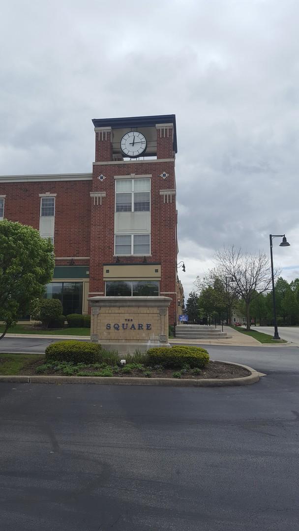 49 Old Frankfort Way #310, Frankfort, IL 60423
