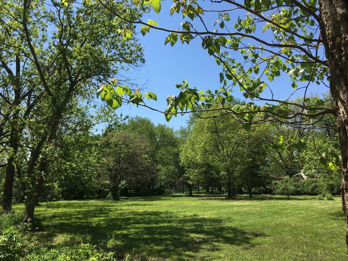 SW LOT Lester Ln., Darien, IL 60561