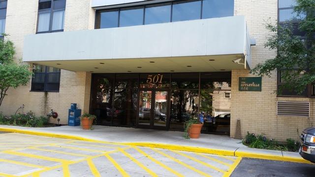 501 W 24th Pl. #106, Chicago, IL 60616