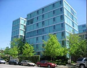 3115 S Michigan Ave. #504, Chicago, IL 60616