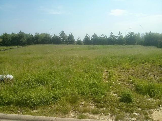 12871 Mayfair Dr., Lemont, IL 60439