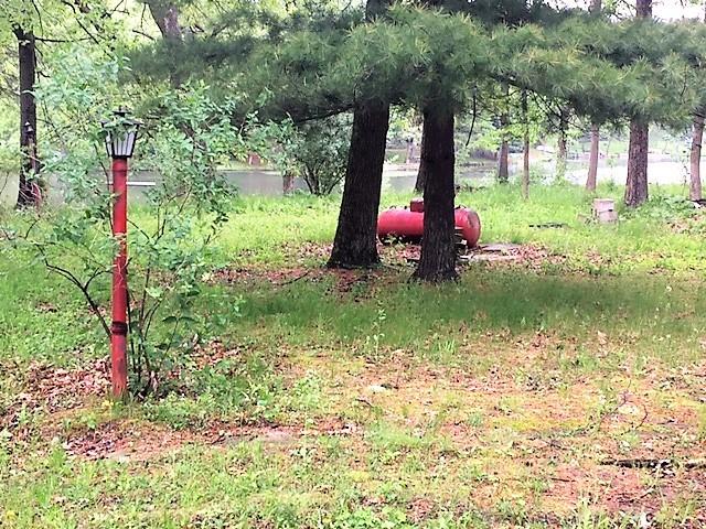 4-74 Squire Tr., Sublette, IL 61367