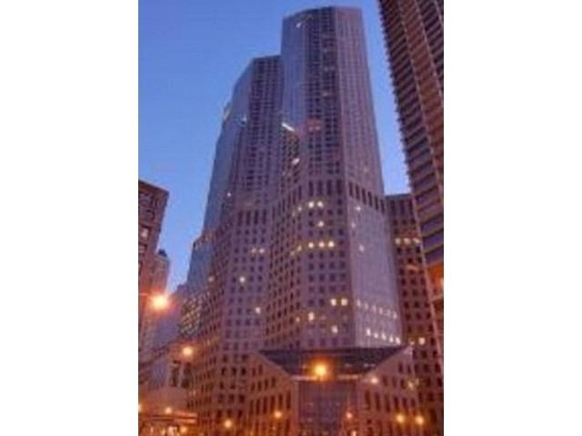950 N Michigan Ave. #4205, Chicago, IL 60611
