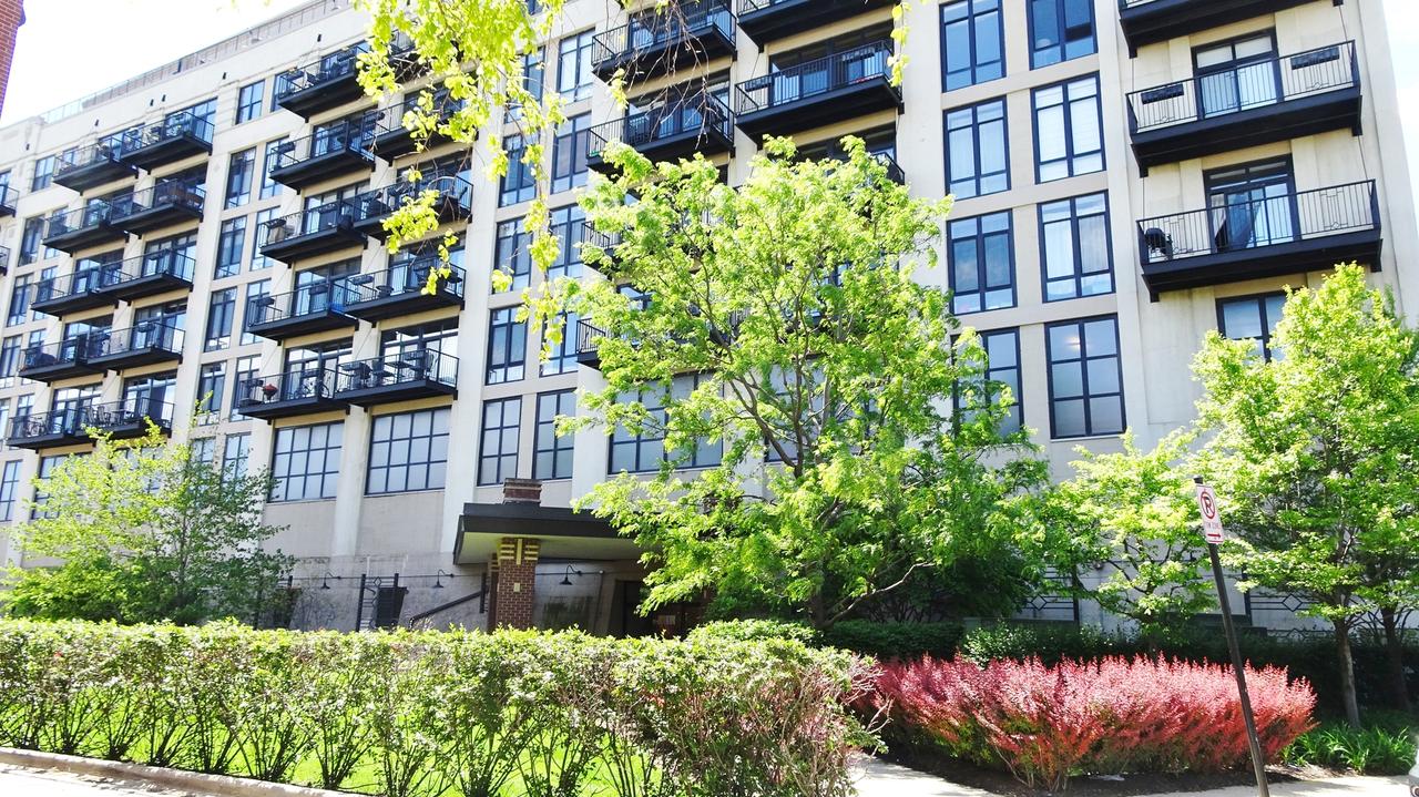 1525 S Sangamon St. #708, Chicago, IL 60608