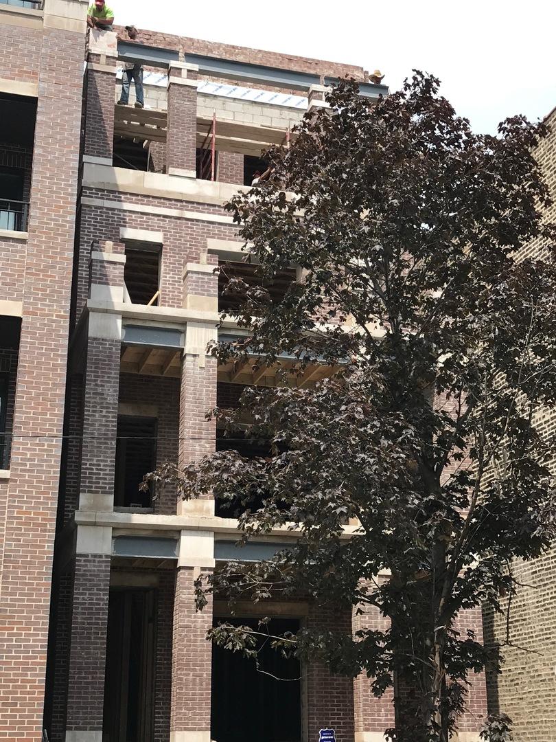 1316 W Wrightwood Ave. #1, Chicago, IL 60614