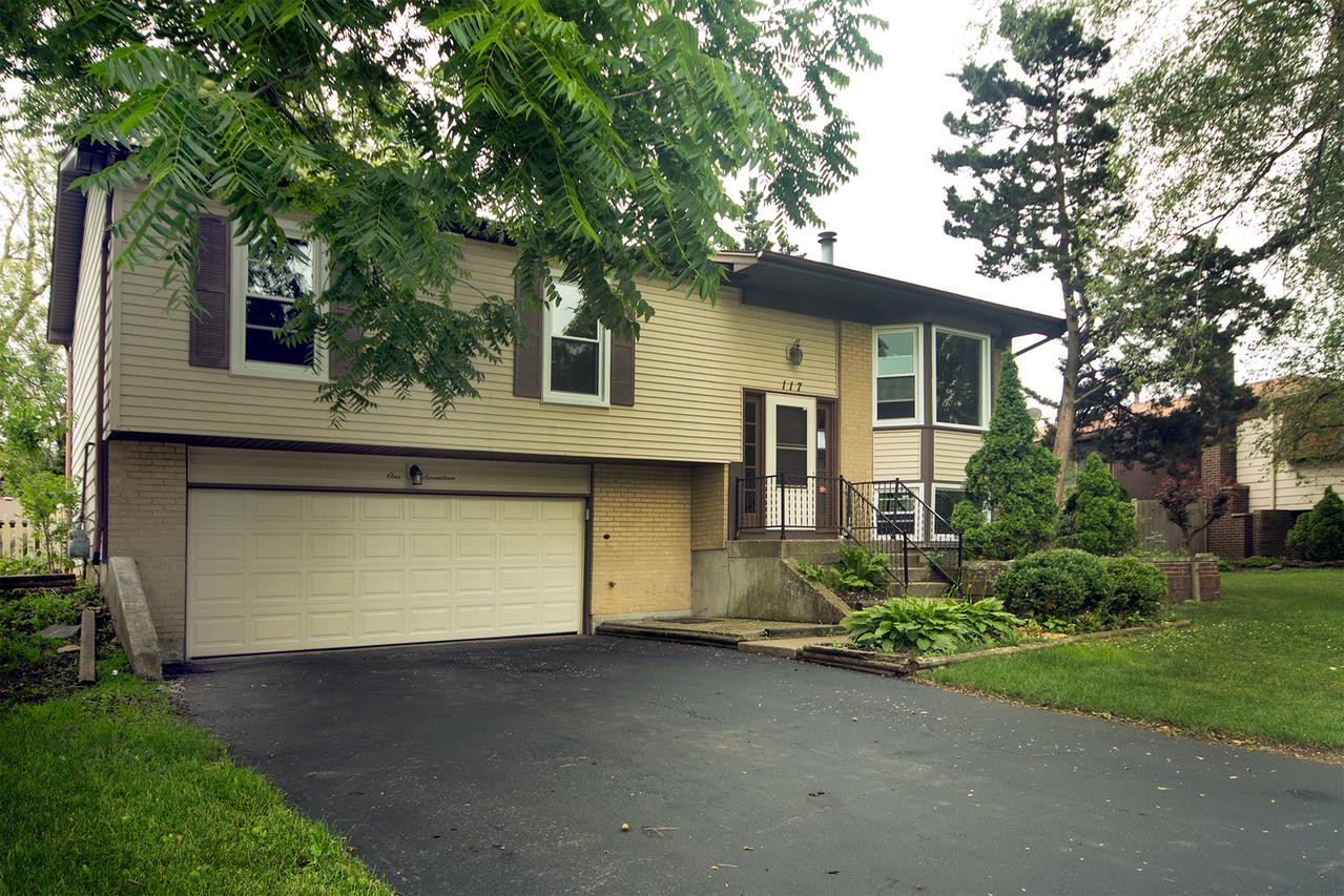 117 E Robinhood Way, Bolingbrook, IL 60440