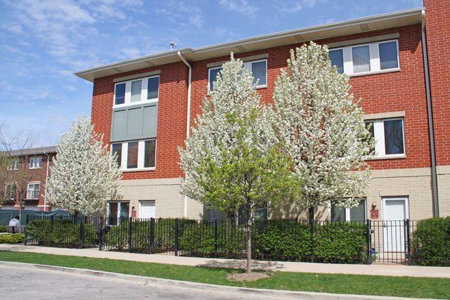 2412 W Bross Ave., Chicago, IL 60608