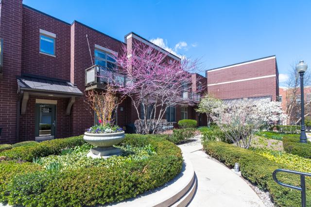 1515 S Halsted St. #214, Chicago, IL 60607