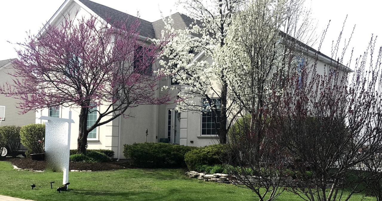 2303 Flat Rock Ct., Naperville, IL 60564