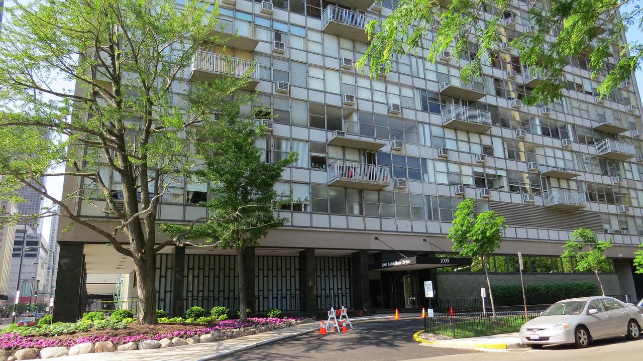 1000 N Lake Shore Dr. #1205, Chicago, IL 60611