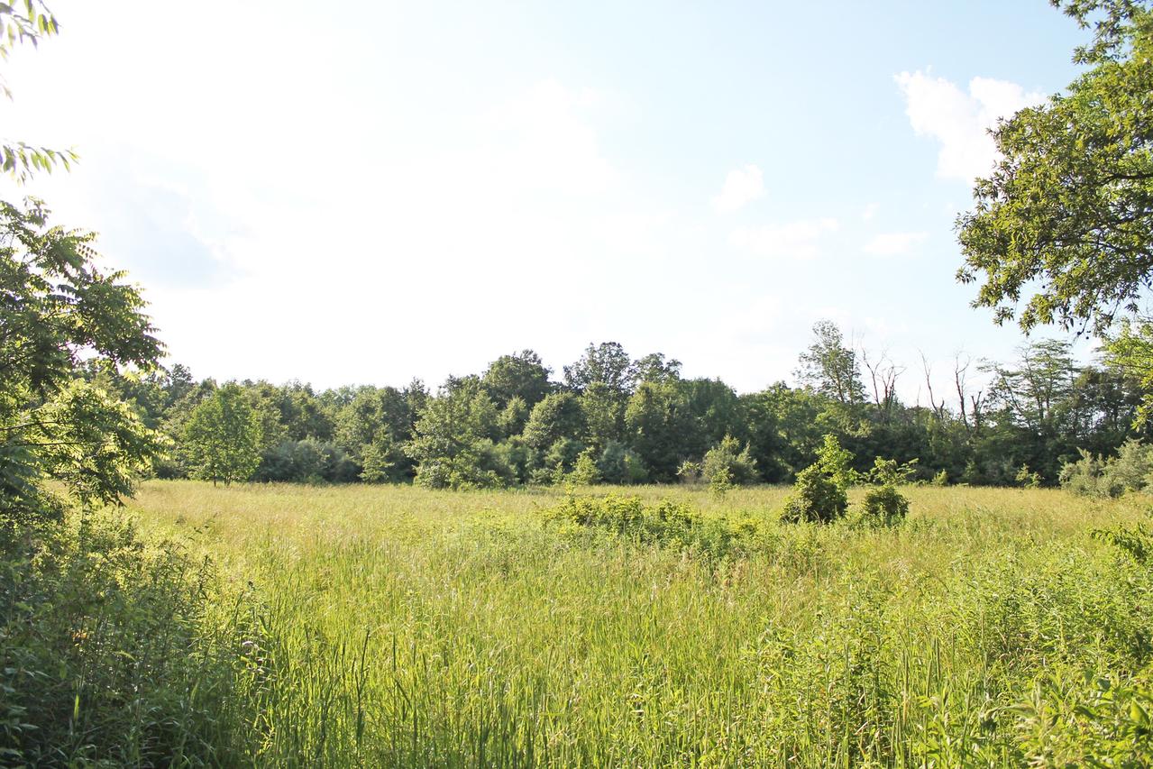 1500 North Rd., Catlin, IL 61817
