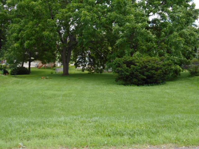 Lot 8 Tappan St., Woodstock, IL 60098