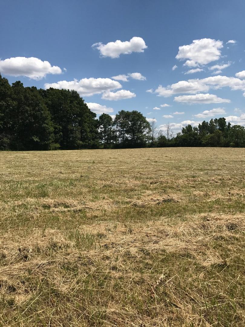Lot 25 Bryan Tr., New Lenox, IL 60451
