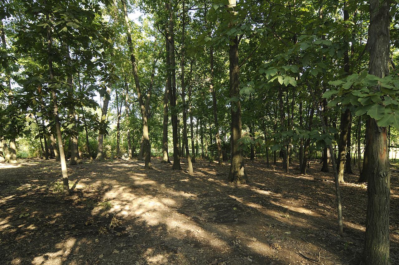 1875 N Lincoln Lake Dr., Coal City, IL 60416