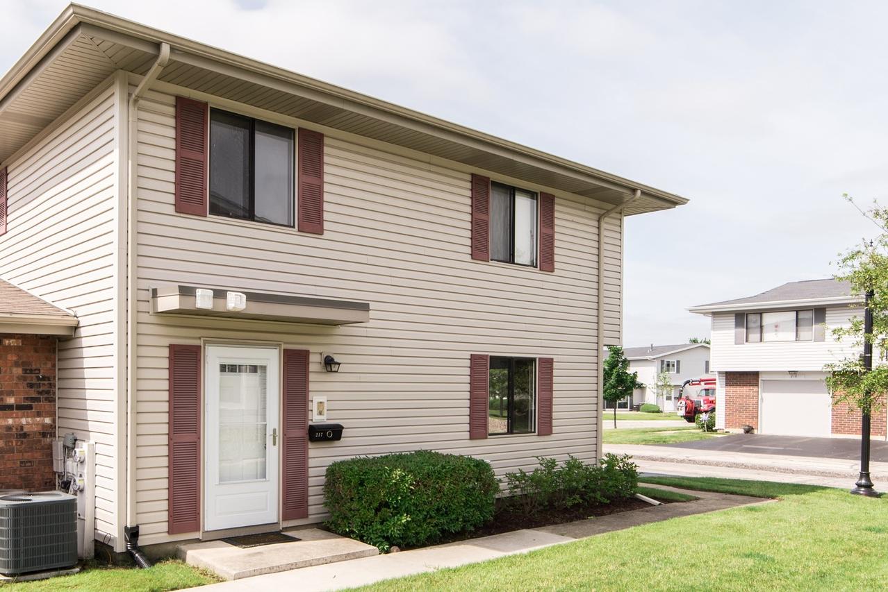 217 Wapoos Ct. #1029, Schaumburg, IL 60194