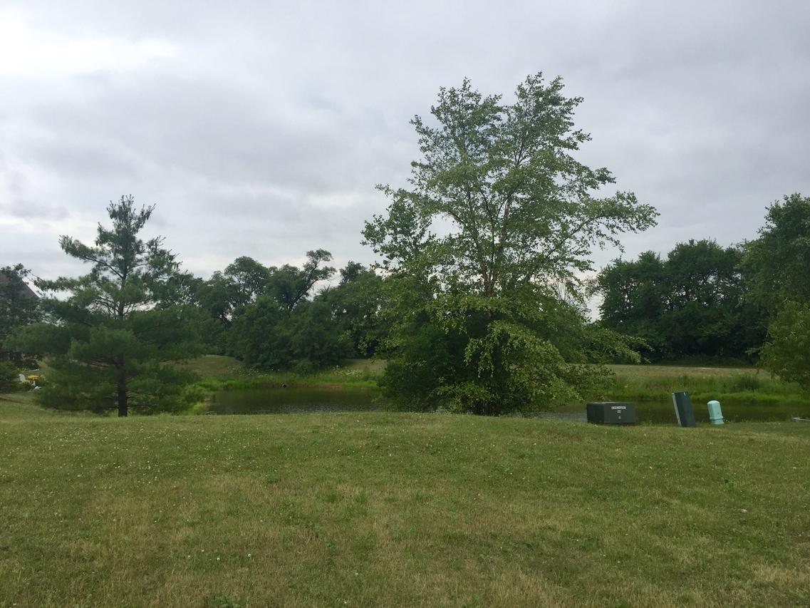 25538 S Devonshire Ln., Monee, IL 60449