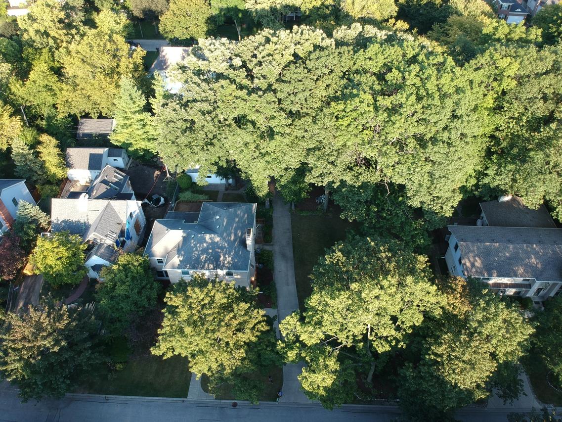 621 S Bristol Ln., Arlington Heights, IL 60005