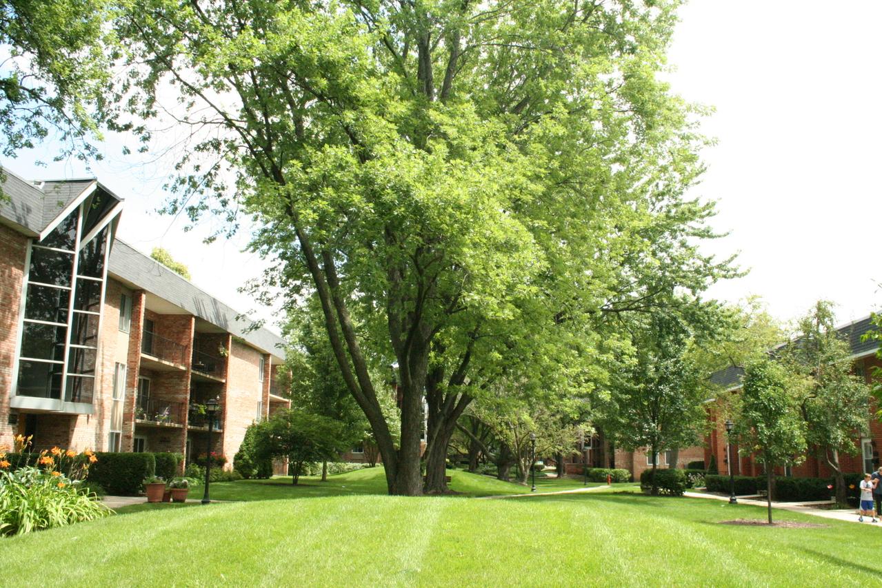 1001 N Mill St. #112, Naperville, IL 60563