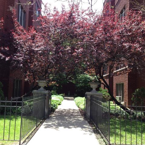 1325 W Addison St. #1A, Chicago, IL 60613