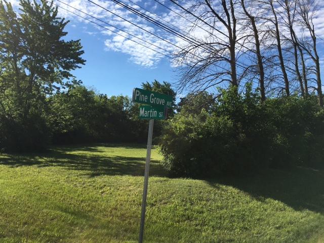 13356 W Martin Ave., Wadsworth, IL 60083