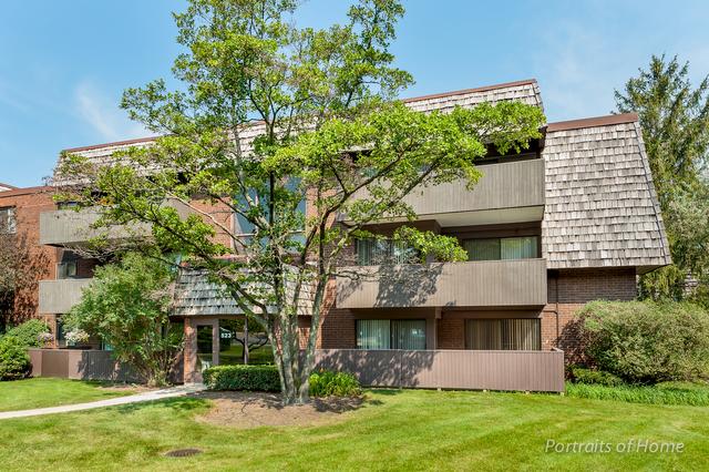 523 Timber Ridge Dr. #202-A, Carol Stream, IL 60188