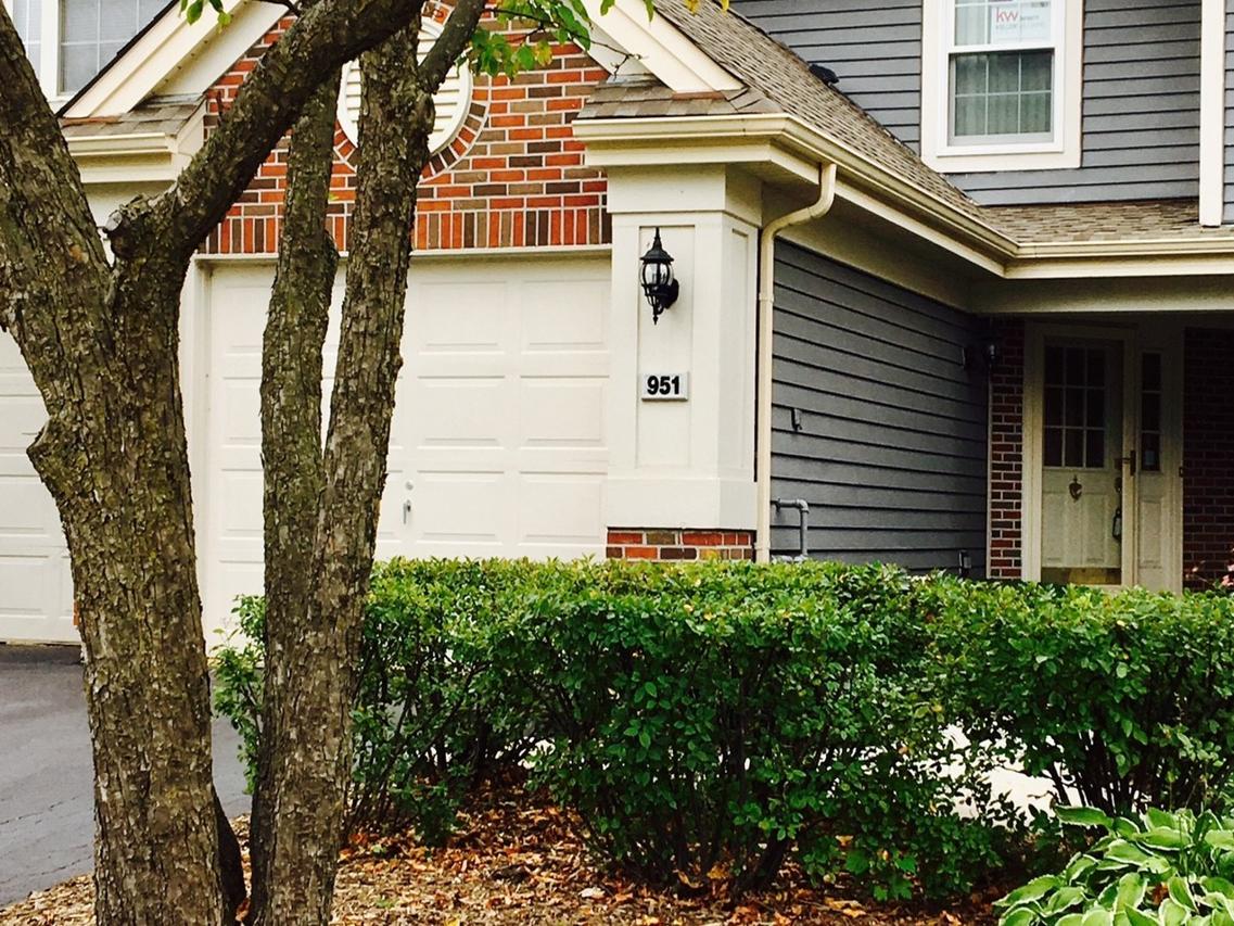 951 Little Falls Ct., Elk Grove Village, IL 60007