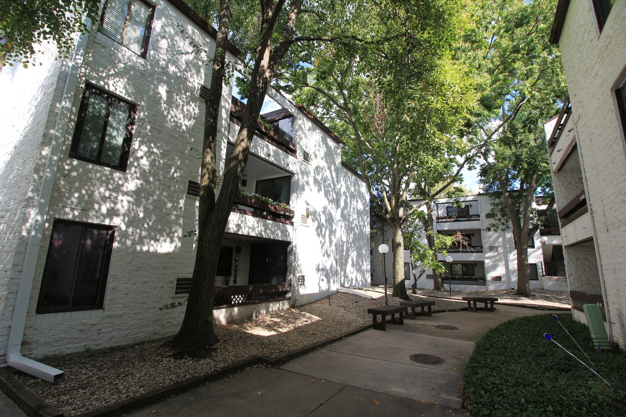 342 W Miner St. #2B, Arlington Heights, IL 60005