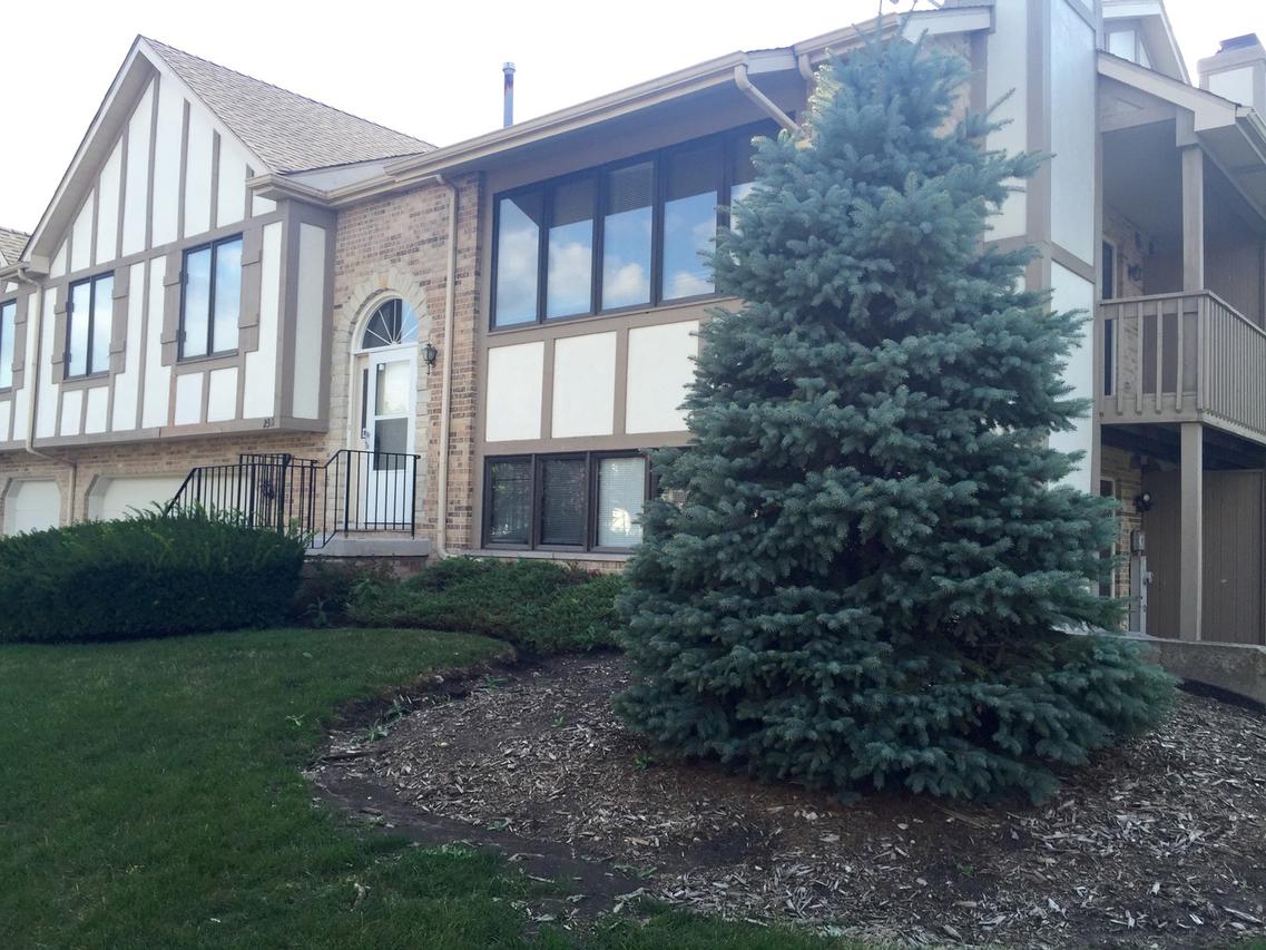 2311 Olde Mill Rd., Plainfield, IL 60586