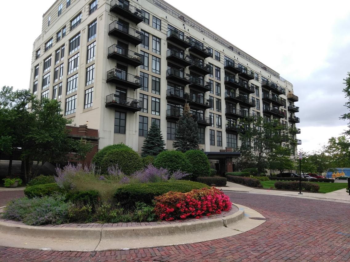 1524 S Sangamon St. #310-S, Chicago, IL 60608