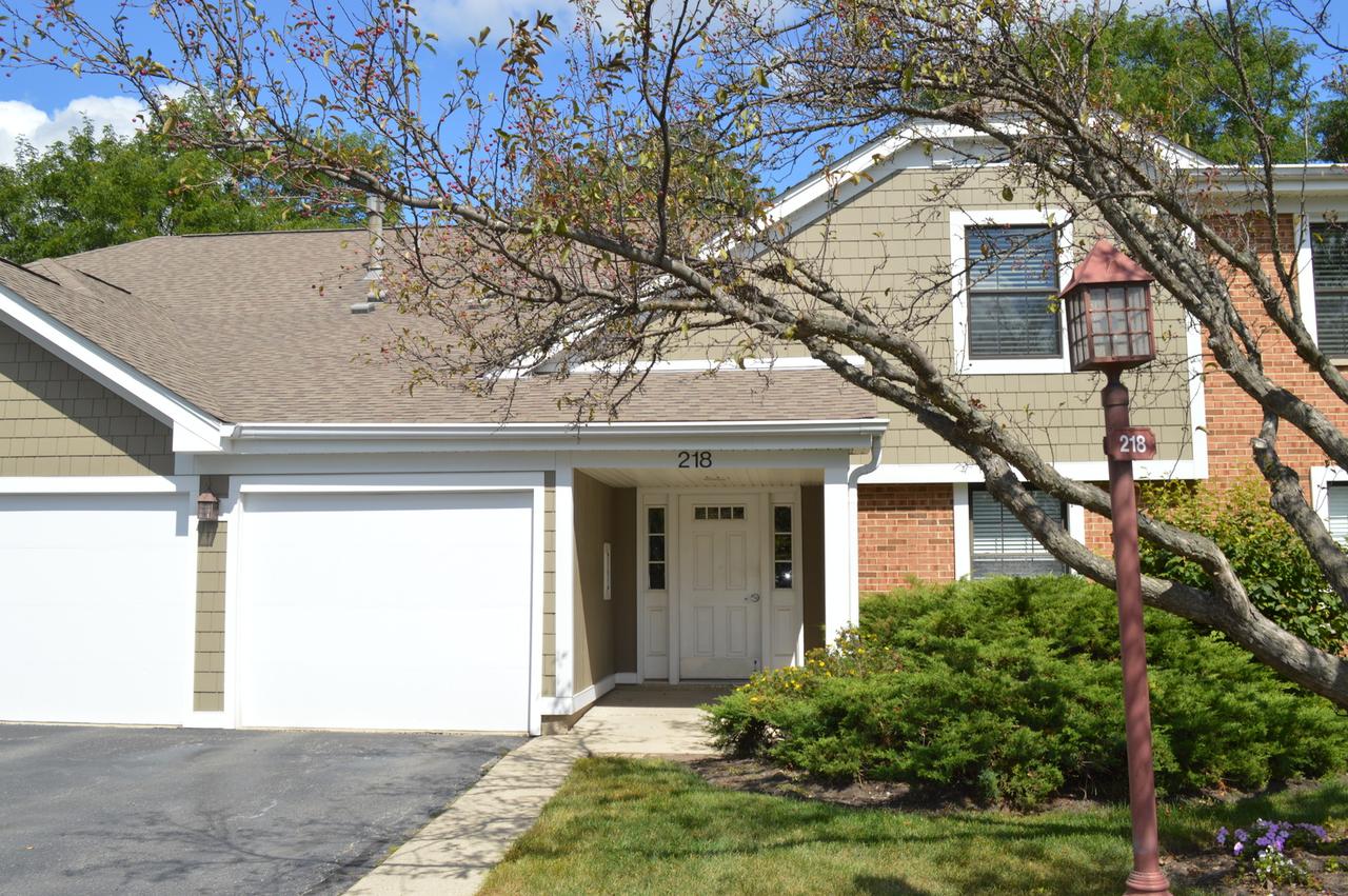 218 Driftwood Ln. #B-1, Schaumburg, IL 60193