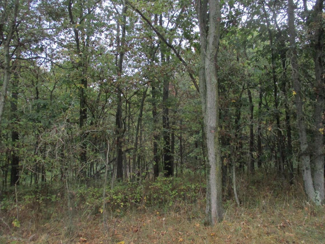 2265 E Cr 650 N Rd., Murdock, IL 61941