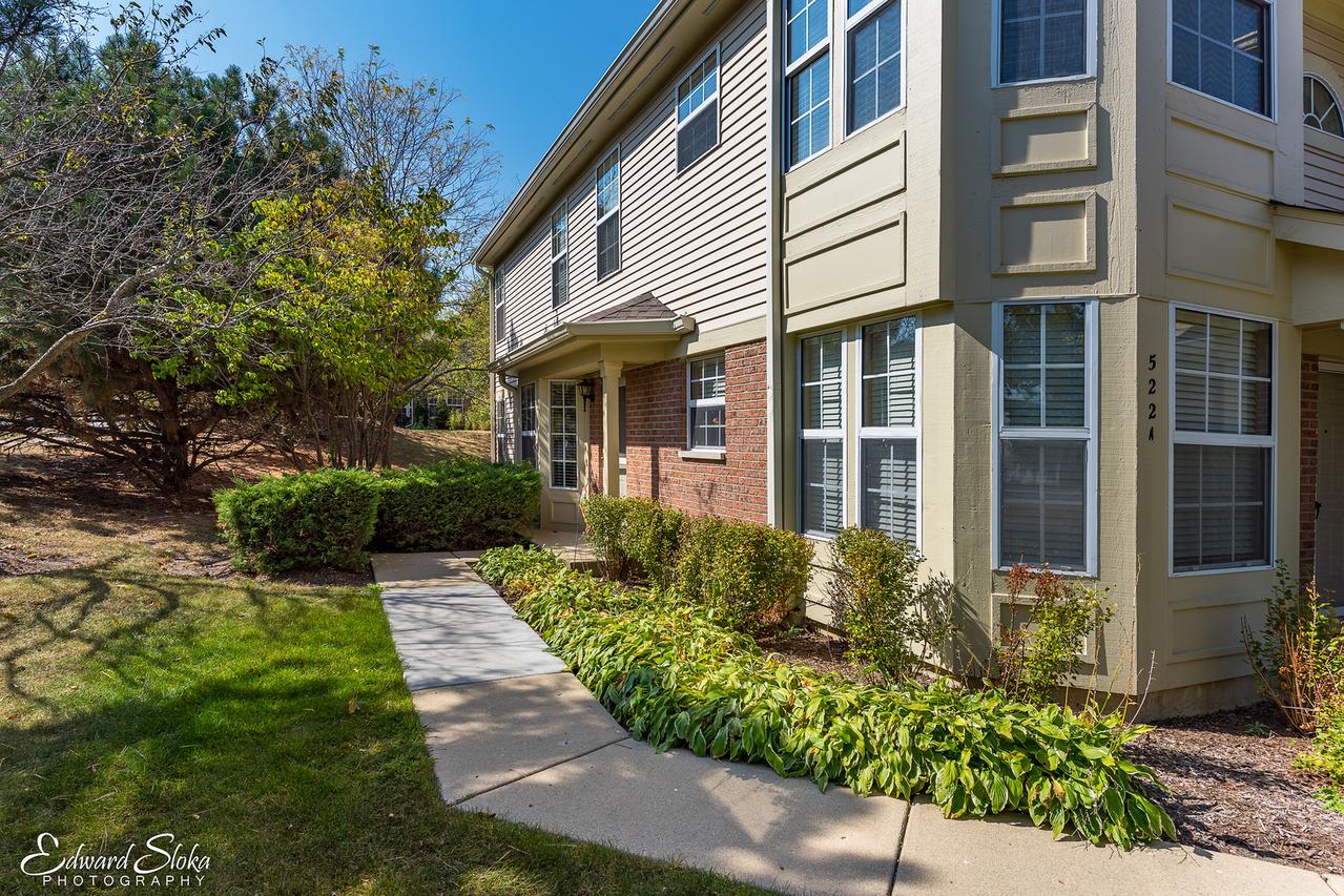 522 Palm Ct. #A, Crystal Lake, IL 60014