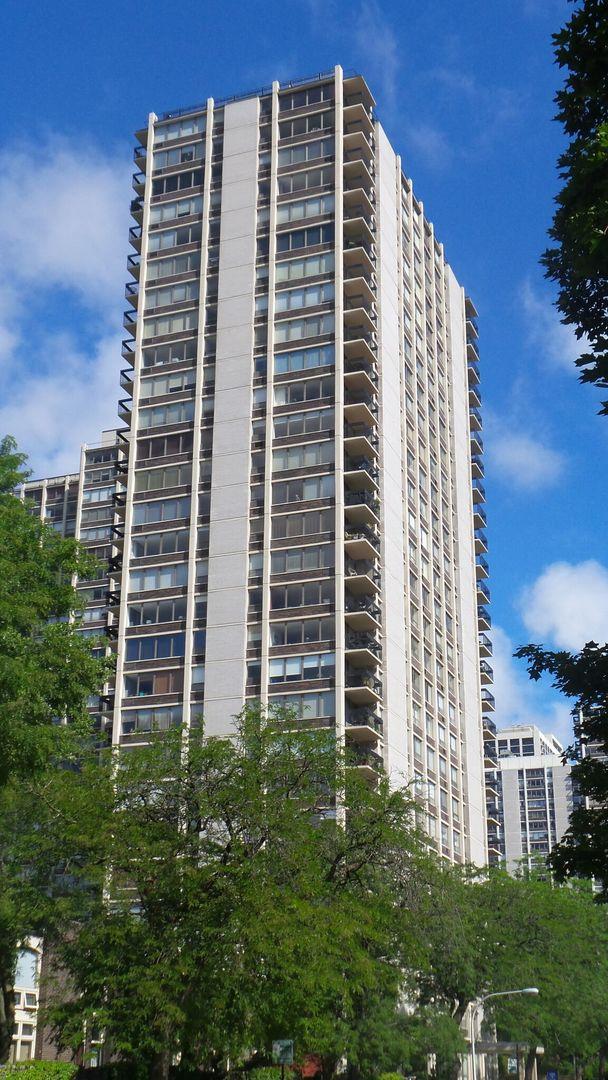 1355 N Sandburg Ter. #2408D, Chicago, IL 60610