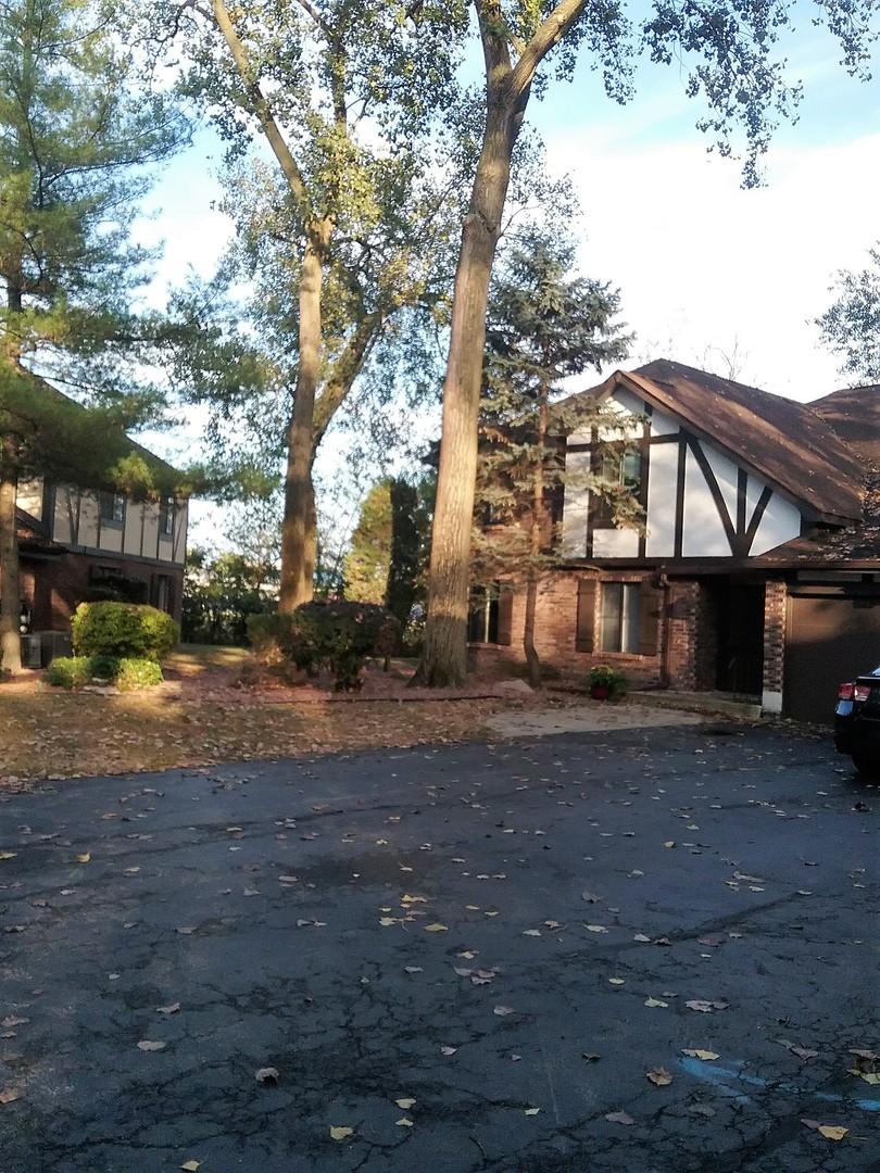 8101 Willow Dr. #71B, Palos Hills, IL 60465