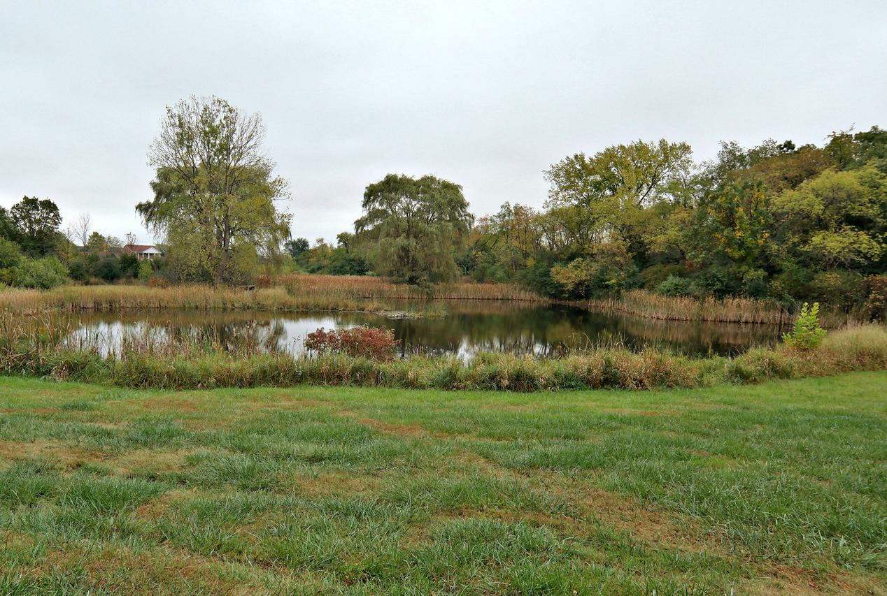 11125 Frontage Rd., Woodstock, IL 60098