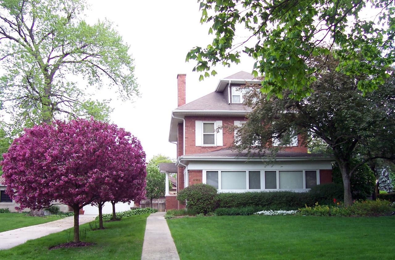 9165 S Pleasant Ave., Chicago, IL 60643