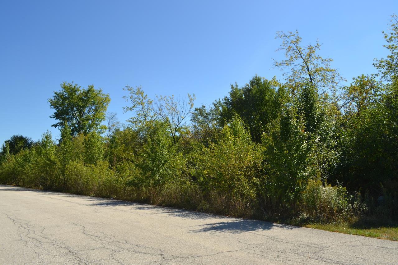 13233 Foxburrow Ave., Lemont, IL 60439