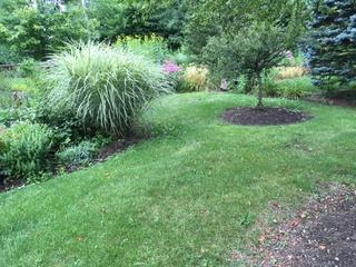 134 Euclid Ave., Bloomingdale, IL 60108