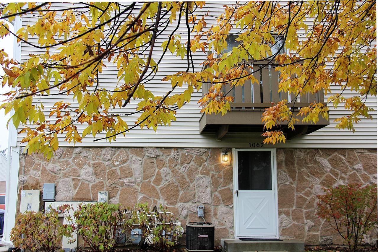 1062 Boston Harbor, Schaumburg, IL 60193